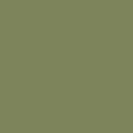 Matt Olive Green